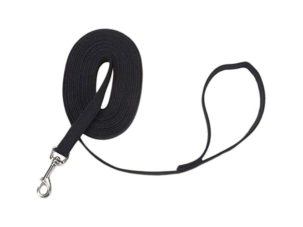 Coastal Pet Train Right Cotton Web Dog Traini