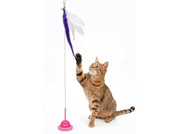 ASPCA Suction Cup Cat Toy Interactive Wand, Pink