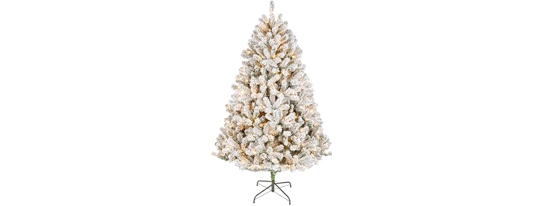 6 ft Pre-Lit Flocked Acacia Artificial Tree