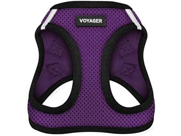 Best Pet Supplies - All Weather Mesh/Plush, Reflective Med