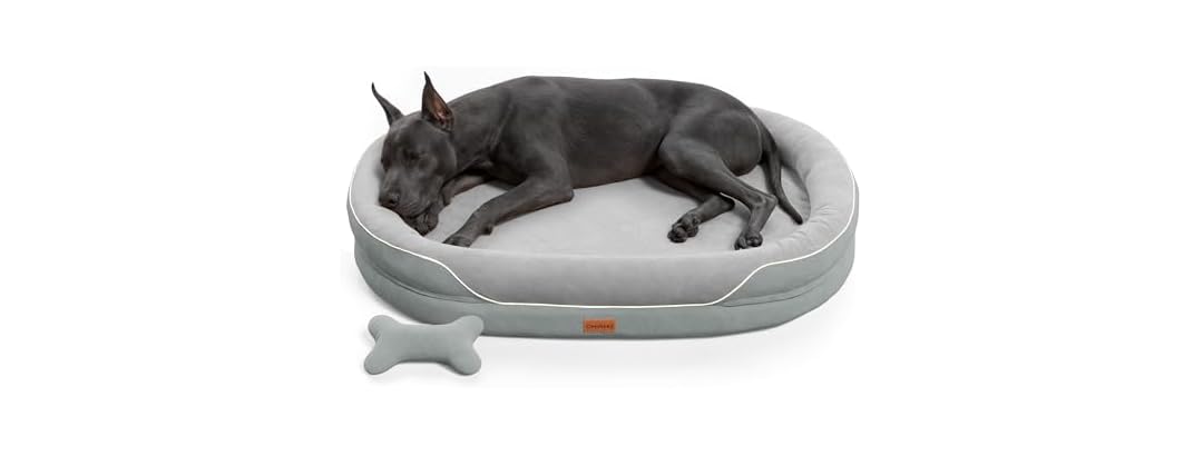 CWAWZ Light Grey XXL Orthopedic Dog Bed 53"