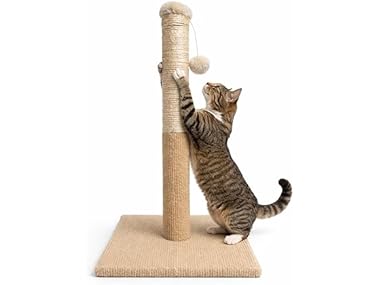 ASPCA Cat Scratching Post for Indoor Cats