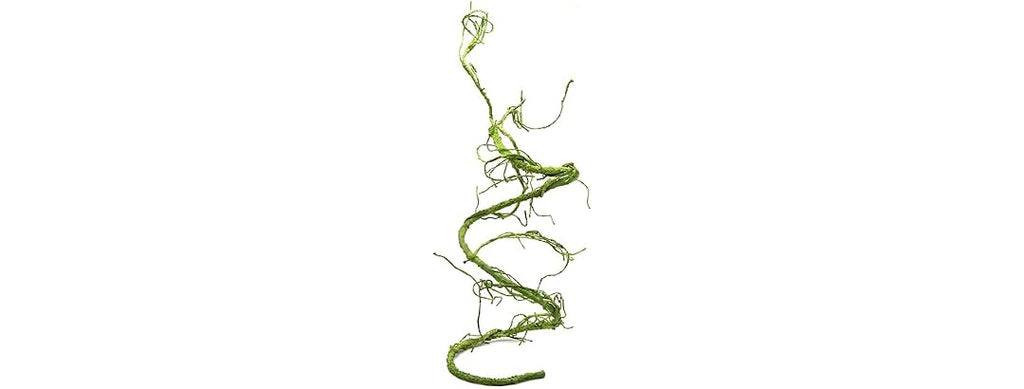 Pangea Reptile Ultimate Vine for Terrarium Ha