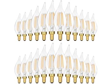 24PK GoBright 4W Candelabra Light Bulbs Daylight White