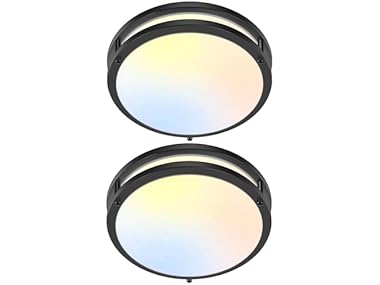 GoBright 2-Pack 10" Bathroom Light Fixture Ceiling Mount