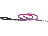 LupinePet Originals 1/2" Wing It 4-foot Padded Leash