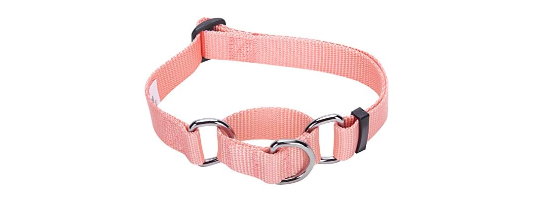 Blueberry Pet Essentials Martingale Safety Collar
