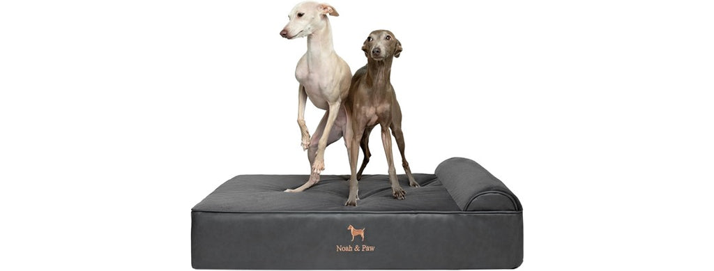 NOAH & PAW Orthopedic Dog Beds- Large
