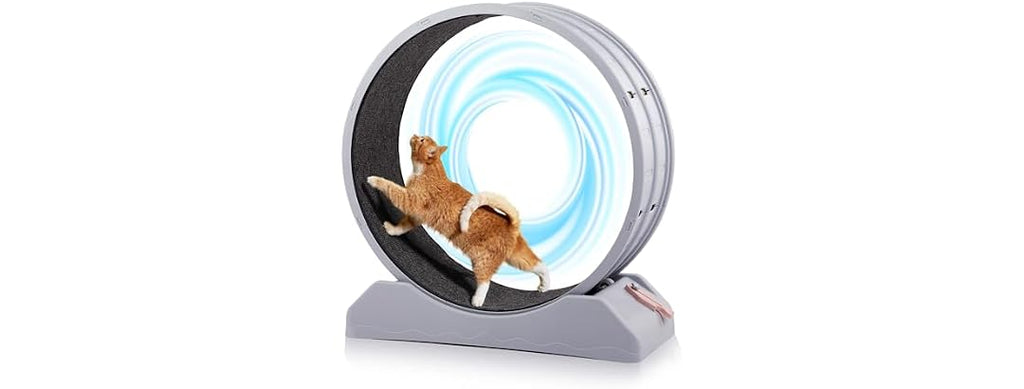Outvita Cat Wheel, PP Plastic Cat Exercise Wh