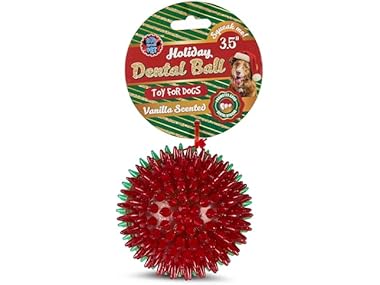 Bow Wow Pet Vanilla Scented Dental Ball Dog Chew Toy