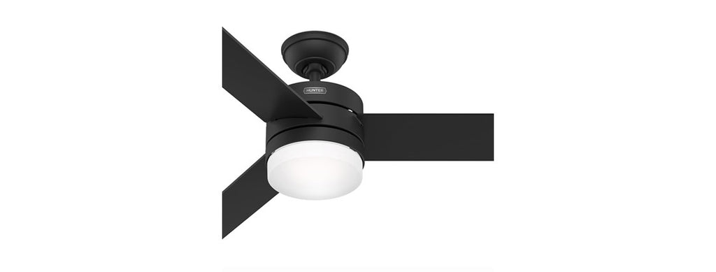 Hunter Fan 54" Light & Remote, Black