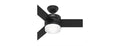 Hunter Fan 54" Light & Remote, Black