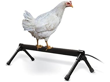 K&H Pet Products Thermo Heated Chicken
