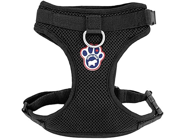 Canada Pooch Everything Dog Harness Black Mesh Medium