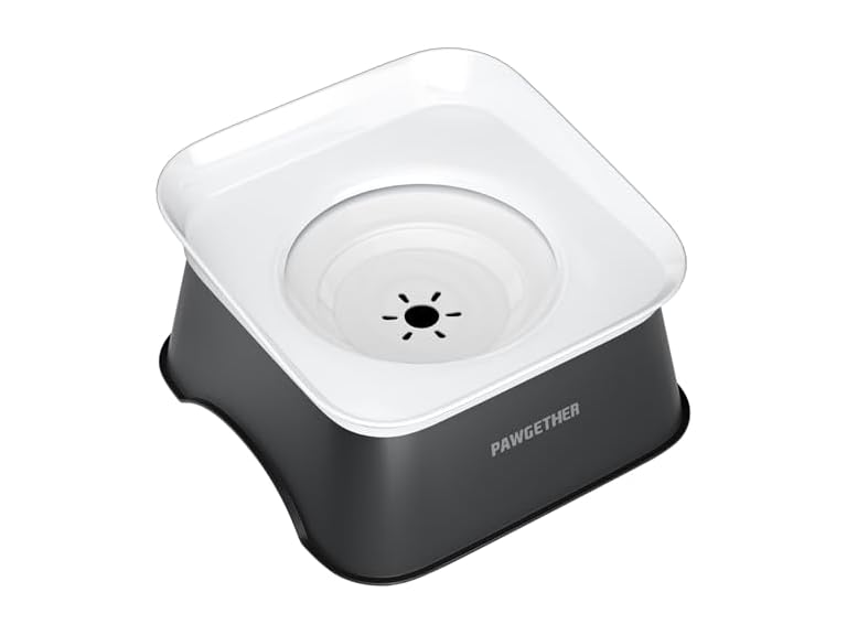 PAWGETHER No Spill Water Bowl for Dog