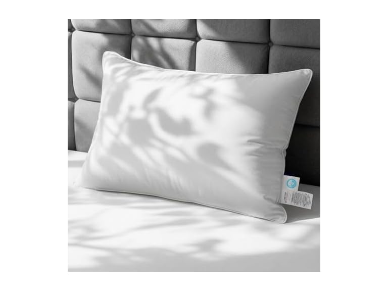 White Goose Down Pillow, Feather And
