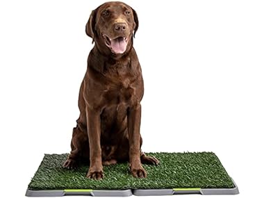 Silver Paw 3-Layer Washable Pee Pads for Dogs