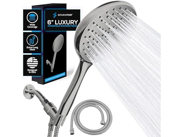 6" Handheld Shower Head w/ 6ft Hose