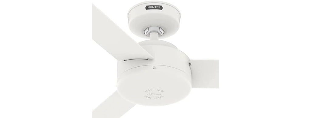 Hunter Fan 44" Indoor Fan, 3 Blades