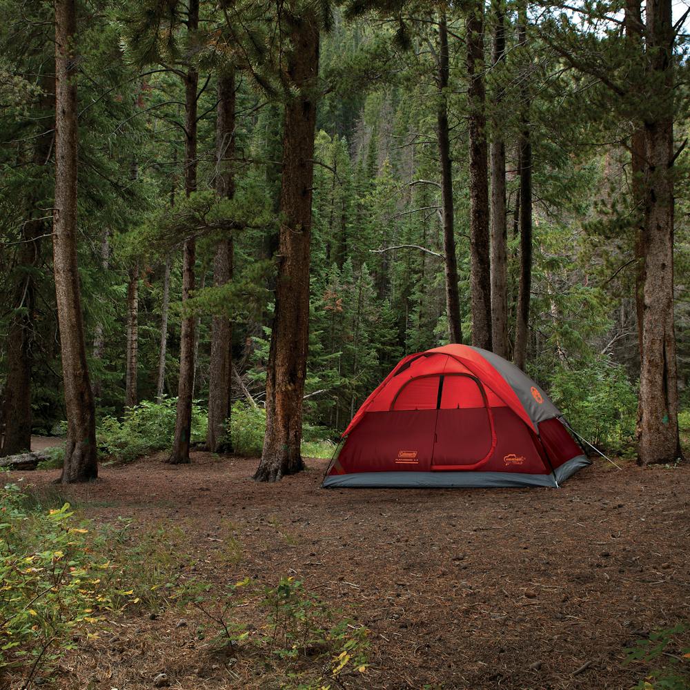 4-Person Flatwoods II™ Lightweight Dome Camping Tent