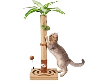 MECOOL 30" Premium Cat Scratching Post
