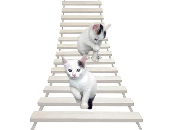 La La Pet Wood Cat Bridge Ladder Perch Hammoc