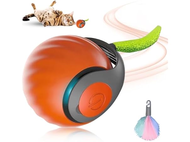 Speedy Toy Cat Toy, 2025 NewUSB Rechargeable