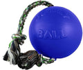 Jolly Pets Romp-N-Roll Ball Color: Blue, Size