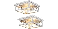 Hallway Light Fixtures for Ceiling, 2-Light
