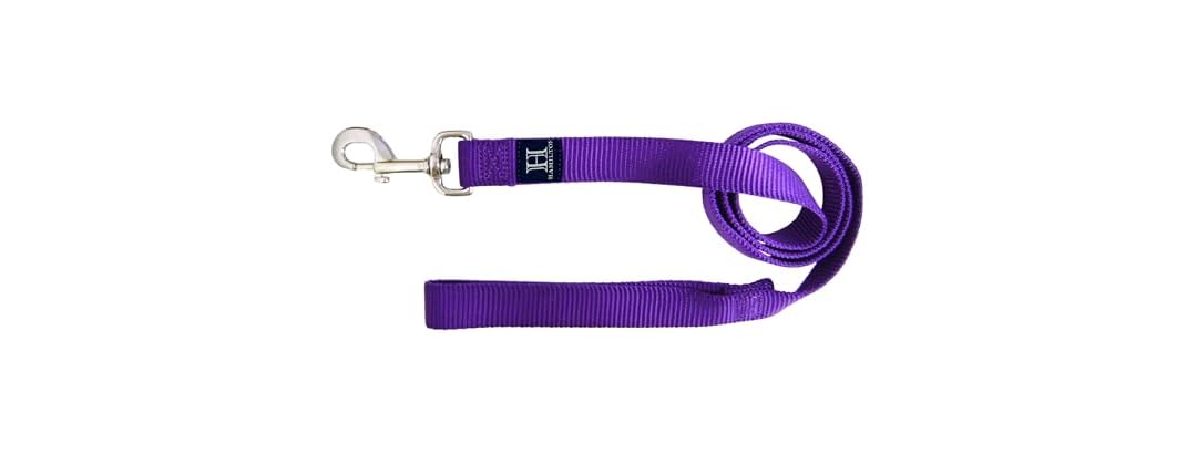 Hamilton Single Thick Deluxe Nylon Dog Leash w Swivel Snap