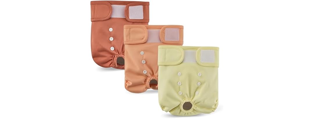 Amazon Basics Washable Dog Diapers 3 Pack