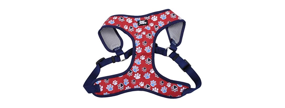 Coastal Pet Ribbon Designer Wrap Adjustable D