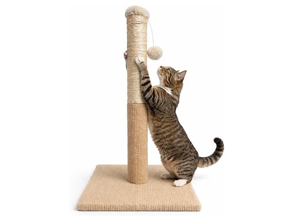 ASPCA Cat Scratching Post for Indoor Cats