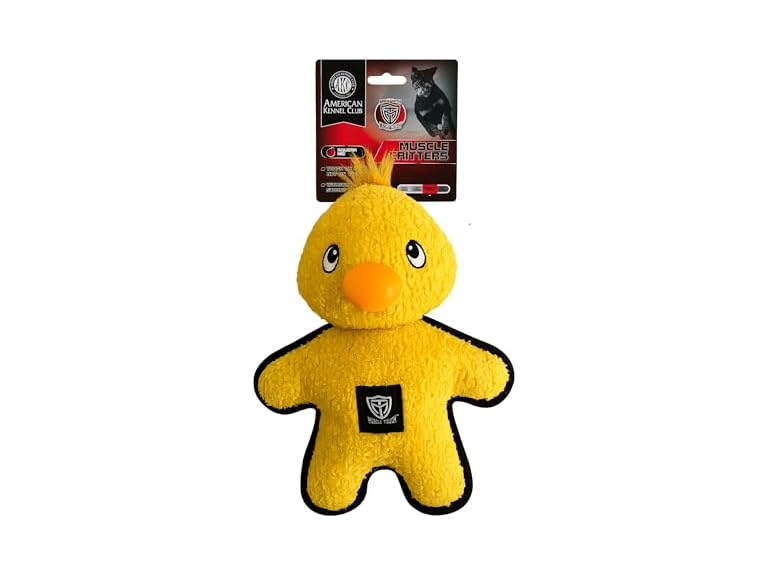American Kennel Club Plush Dog Toy with Squeaker- Duck