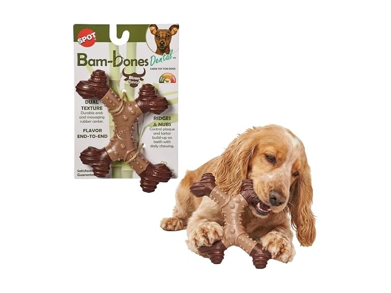 SPOT Bam-Bones Dental X-Bone Dog Chew Toy