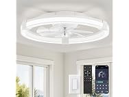 LEDIARY 20" Low Profile Ceiling Fan