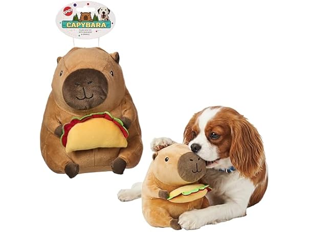 SPOT Capybara with Taco Plush Dog Toy