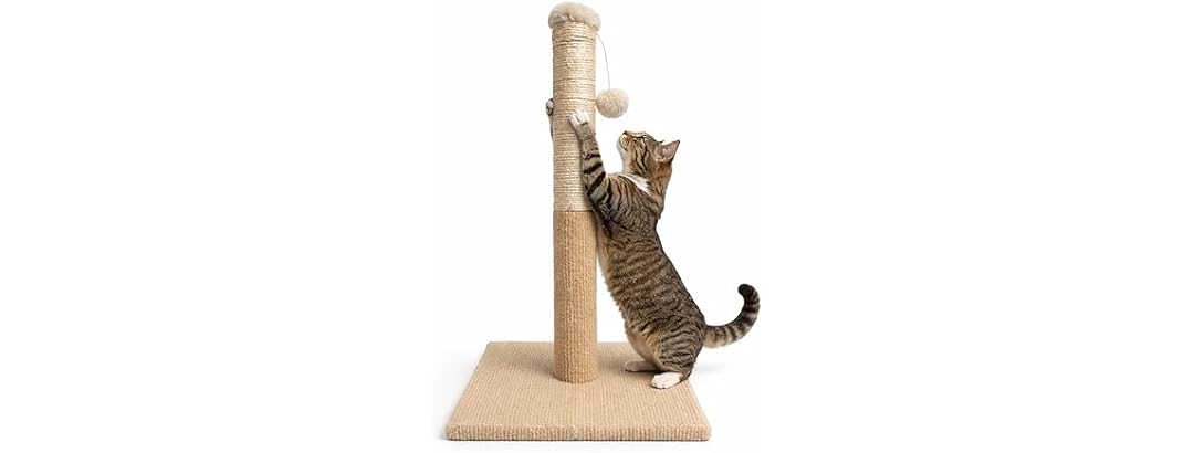 ASPCA Cat Scratching Post for Indoor Cats