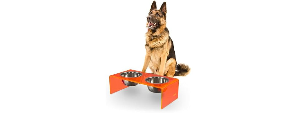 Keaton 7.5" Modern Acrylic Rectangular Elevated Pet Feeder