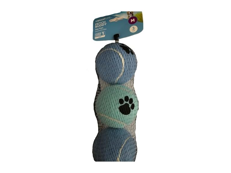 Vibrant Life Fetch Buddy Dog Toys, Medium Siz