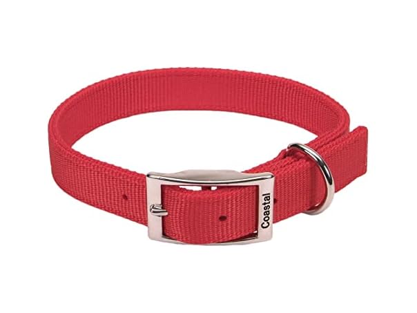 Coastal Pet - Double-Ply Dog Collar, Red, 1" x 24"