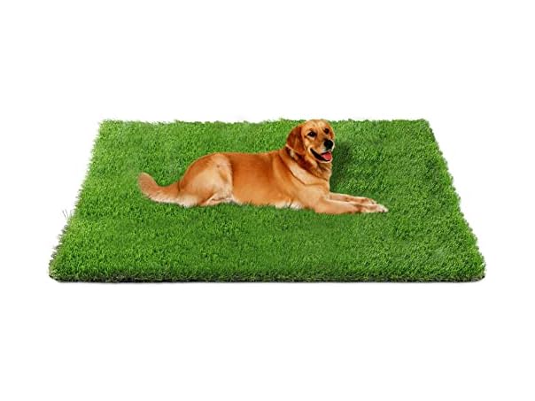 Fhiny Artificial Grass Rug