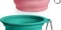 Rest-Eazzzy 2-Pack Collapsible Dog Bowls- Green Pink
