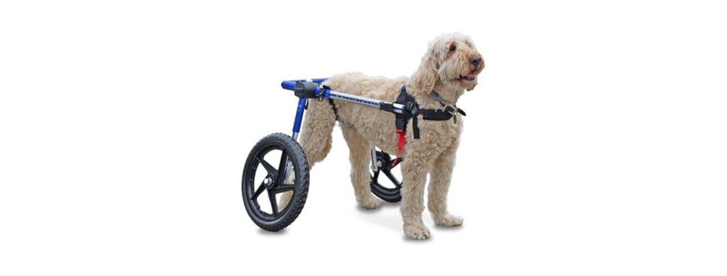 Walkin' Wheels Dog Wheelchair - for Med/Large