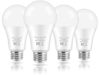 LED Light Bulbs, 100 Watt Equivalent A19 (Your Choice)
