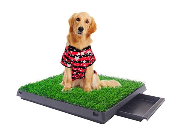 Sandinrayli Indoor Outdoor Dog Puppy Potty Trainer