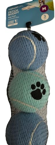 Vibrant Life Fetch Buddy Dog Toys, Medium Siz