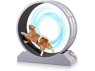 Outvita Cat Wheel, PP Plastic Cat Exercise Wh