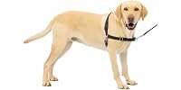 Petsafe Easy Walk No Pull Harness Black Large