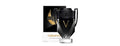 Paco Rabanne Invictus Victory EDP Extreme